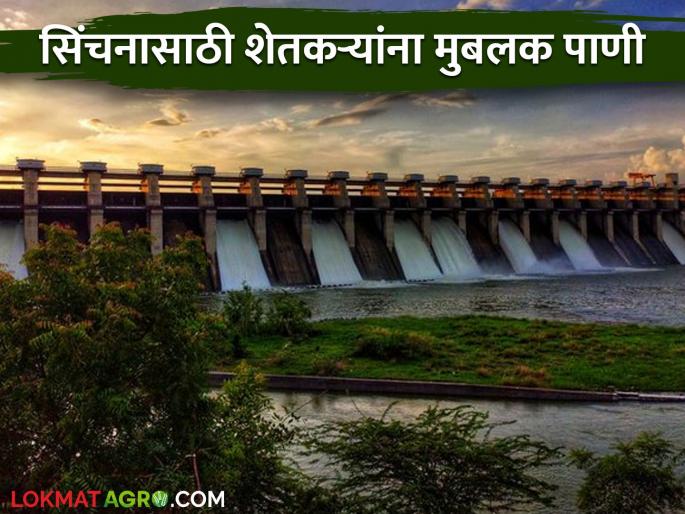 Rabi Crop : Farmers will get abundant water in Rabi; Farmers hope for a good season | Rabi Crop : रब्बीत मिळणार शेतकऱ्यांना मिळणार मुबलक पाणी; हंगाम चांगला होण्याची शेतकऱ्यांना आशा Rabi Crop : Farmers will get abundant water in Rabi; Farmers hope for a good season | Rabi Crop : रब्बीत मिळणार शेतकऱ्यांना मिळणार मुबलक पाणी; हंगाम चांगला होण्याची शेतकऱ्यांना आशा