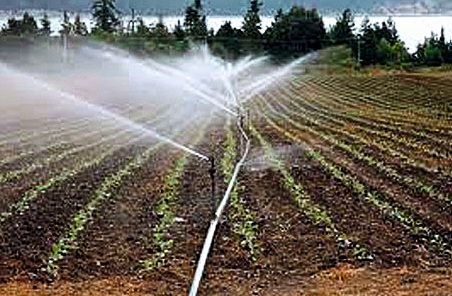 Expected to produce 7,000 hectare irrigation in two years from Jigaon project | ‘जिगाव’ प्रकल्पातून दोन वर्षांत साडेसात हजार हेक्टर सिंचन निर्मिती अपेक्षित Expected to produce 7,000 hectare irrigation in two years from Jigaon project | ‘जिगाव’ प्रकल्पातून दोन वर्षांत साडेसात हजार हेक्टर सिंचन निर्मिती अपेक्षित