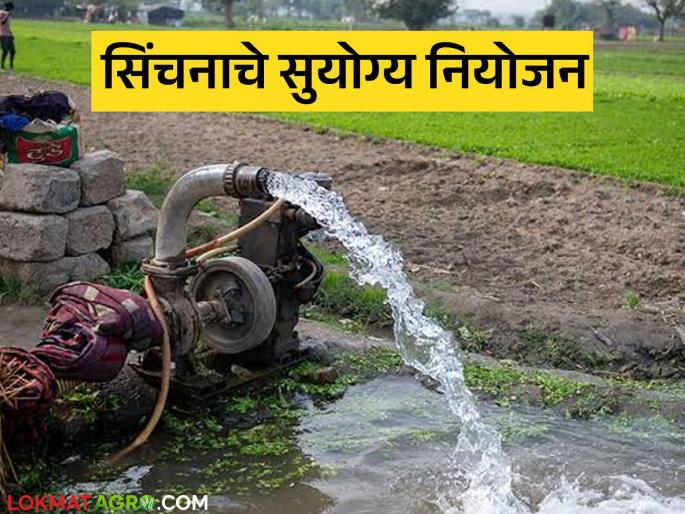 Latest news Agriculture News Proper irrigation planning in Sakri taluka will accelerate development | शेतीत अव्वल, धरणांचा तालुका म्हणून ओळख, पण सिंचनाचे नियोजन नाही, वाचा सविस्तर