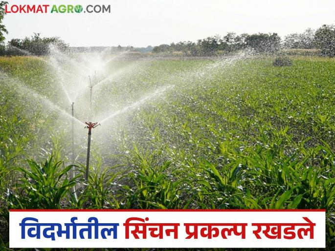 Vidarbha Irrigation project: Irrigation projects in Vidarbha stalled, Chief Secretary on High Court's radar, know the details | Vidarbha Irrgation project: विदर्भातील सिंचन प्रकल्प रखडले; मुख्य सचिव हायकोर्टाच्या रडारवर जाणून घ्या सविस्तर