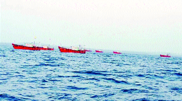 Fisheries threatened by encroachment of boats | नौकांच्या अतिक्रमणाने मत्स्यसंपदा धोक्यात Fisheries threatened by encroachment of boats | नौकांच्या अतिक्रमणाने मत्स्यसंपदा धोक्यात