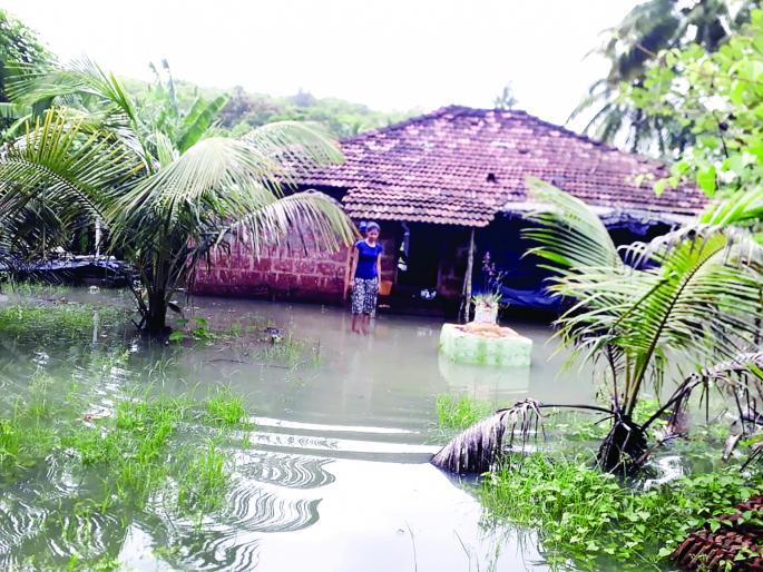 Rains lashed Malvan taluka, causing flood conditions in many places | मालवण तालुक्याला पावसाने झोडपले, अनेक ठिकाणी पूरजन्य परिस्थिती Rains lashed Malvan taluka, causing flood conditions in many places | मालवण तालुक्याला पावसाने झोडपले, अनेक ठिकाणी पूरजन्य परिस्थिती