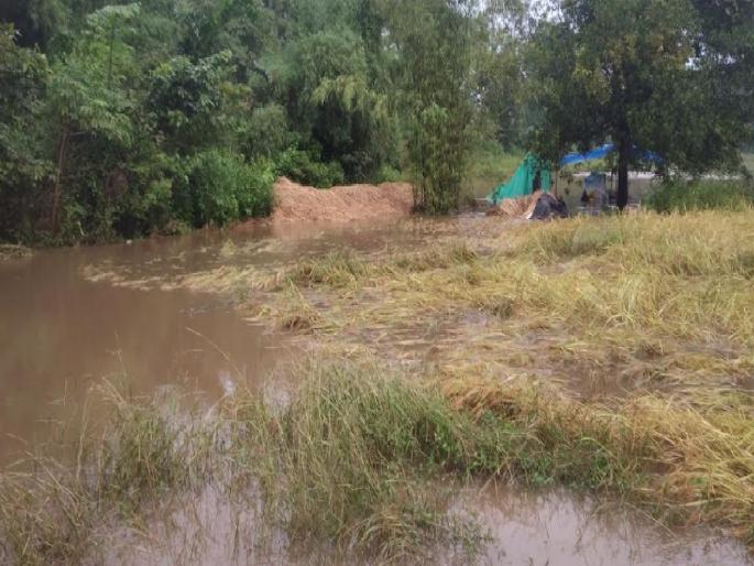 rain like a cloud burst washed away the cut rice in Mangaon Valley Sindhudurg | सिंधुदुर्गातील माणगाव खोऱ्यात ढगफुटीसदृश पाऊस, कापून ठेवलेले भात गेले वाहून rain like a cloud burst washed away the cut rice in Mangaon Valley Sindhudurg | सिंधुदुर्गातील माणगाव खोऱ्यात ढगफुटीसदृश पाऊस, कापून ठेवलेले भात गेले वाहून