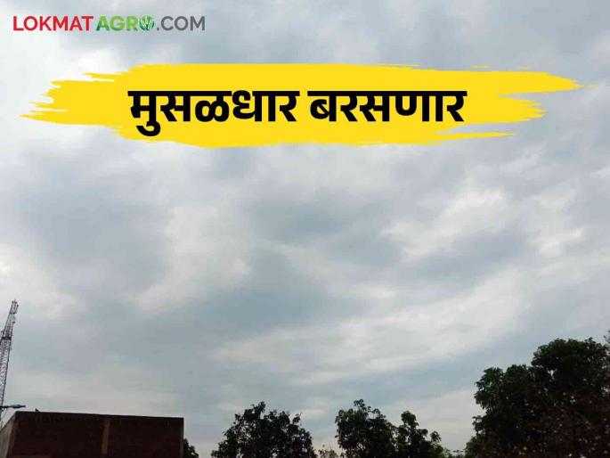 Weather Update: Heavy rain in this district.. Heavy rain forecast in next few days | Weather Update: या जिल्ह्यात पावसाचा जोर.. पुढील काही दिवसांत मुसळधारचा अंदाज