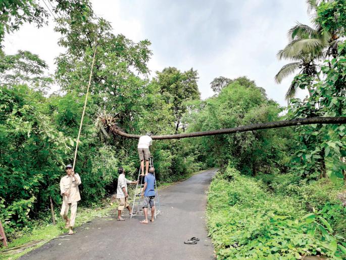 Strike Punchchrishila Storm Storm | ओटवणे पंचक्रोशीला वादळाचा तडाखा -: वाहतूक पाच तास ठप्प Strike Punchchrishila Storm Storm | ओटवणे पंचक्रोशीला वादळाचा तडाखा -: वाहतूक पाच तास ठप्प