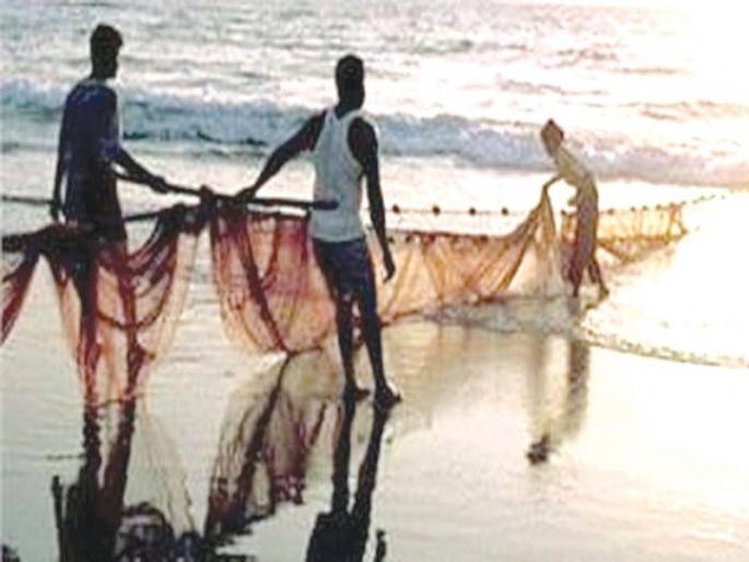 purse seine boats Infiltration in sindhudurg, Domestic fishermen in trouble | पर्ससीन नौकांची होतेय घुसखोरी स्थानिक मच्छिमारांची ठरतेय डोकेदुखी purse seine boats Infiltration in sindhudurg, Domestic fishermen in trouble | पर्ससीन नौकांची होतेय घुसखोरी स्थानिक मच्छिमारांची ठरतेय डोकेदुखी