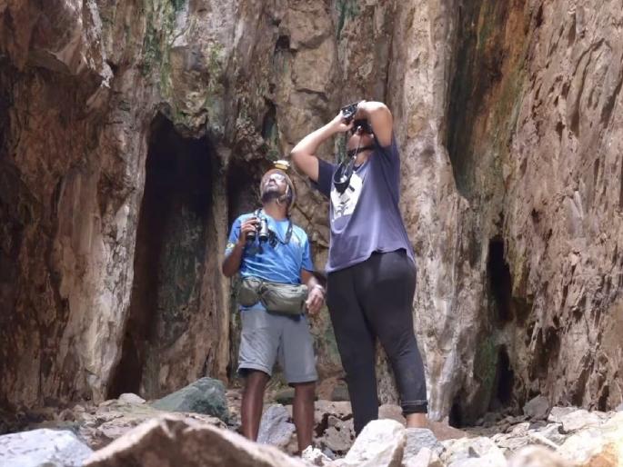 A weaver colony of Swiftleft in the Vengurla Archipelago Conservation plan to be presented by Sacon scientists | वेंगुर्ला द्वीपसमूहात स्विफ्टलेफ्टची मोठी विण वसाहत; सॅकॉनचे शास्त्रज्ञ सादर करणार संवर्धन आराखडा