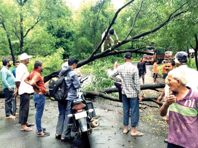 Life-threatening disorders in Vaibhavavad | वैभववाडीत जनजीवन विस्कळीत Life-threatening disorders in Vaibhavavad | वैभववाडीत जनजीवन विस्कळीत