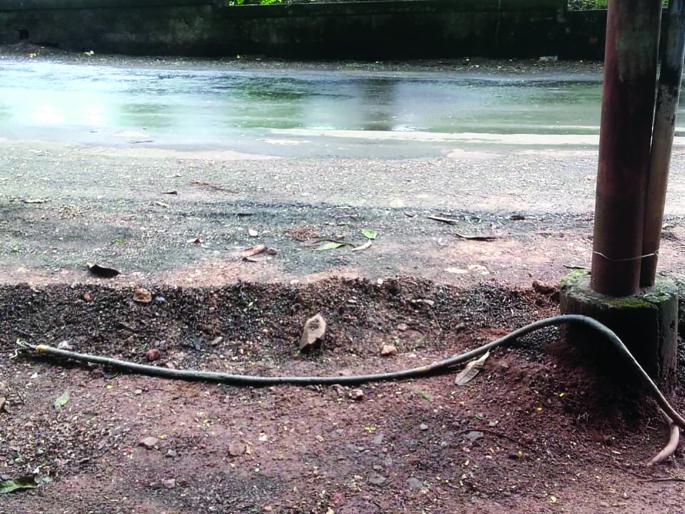 The streetlight wire is lying on the ground, the possibility of an accident due to shock | पथदीपाची वायर जमिनीवर आहे पडून, शॉक लागून अपघाताची शक्यता The streetlight wire is lying on the ground, the possibility of an accident due to shock | पथदीपाची वायर जमिनीवर आहे पडून, शॉक लागून अपघाताची शक्यता