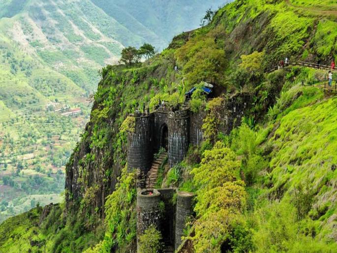 Action will be taken if New Year celebrations are held on forts and hills! Forest Department warns | New Year Celebration: गडकिल्ले, टेकड्यांवर 'न्यू इयर सेलिब्रेशन’ केल्यास कारवाई! वन विभागाचा इशारा Action will be taken if New Year celebrations are held on forts and hills! Forest Department warns | New Year Celebration: गडकिल्ले, टेकड्यांवर 'न्यू इयर सेलिब्रेशन’ केल्यास कारवाई! वन विभागाचा इशारा