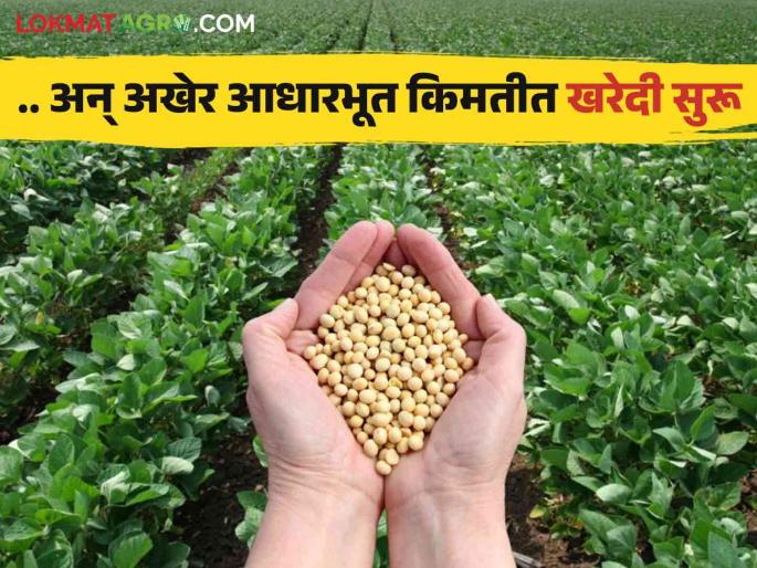 Soybean Market: Purchase of soybeans at base price begins; 4892 Rs | Soybean Market : सोयाबीनची आधारभूत किमतीत खरेदी सुरू; ४८९२ रुपयांचा मिळतोय दर Soybean Market: Purchase of soybeans at base price begins; 4892 Rs | Soybean Market : सोयाबीनची आधारभूत किमतीत खरेदी सुरू; ४८९२ रुपयांचा मिळतोय दर