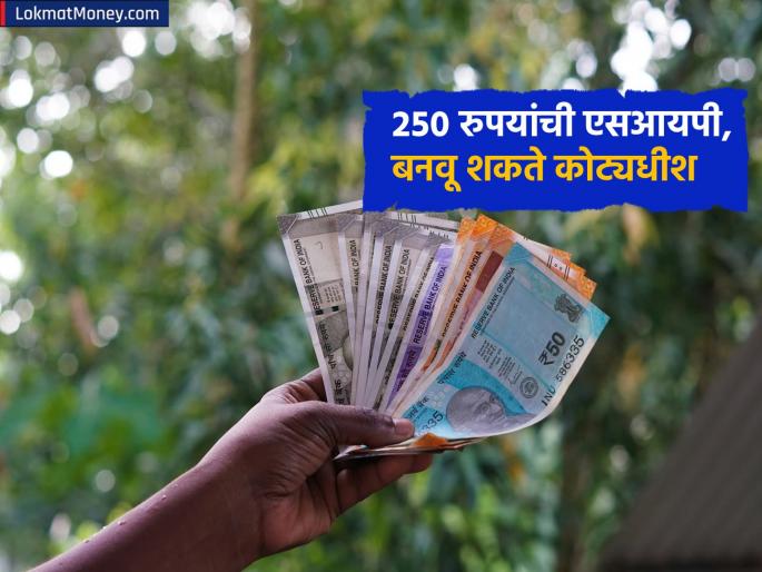 Can even a SIP of Rs 250 make you a millionaire But how let s find out know investment tips | २५० रुपयांची एसआयपीही तुम्हाला बनवू शकते कोट्यधीश? पण कसं, जाणून घेऊ Can even a SIP of Rs 250 make you a millionaire But how let s find out know investment tips | २५० रुपयांची एसआयपीही तुम्हाला बनवू शकते कोट्यधीश? पण कसं, जाणून घेऊ
