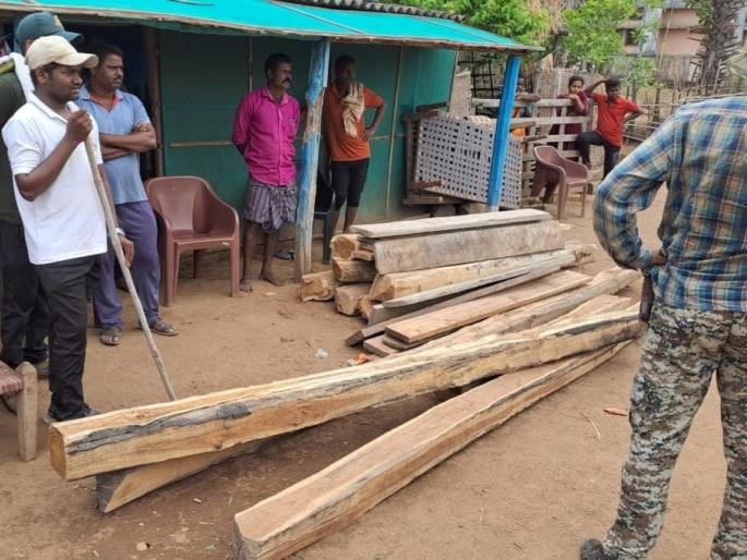 with the connivance of the district assistant the gory business of teak smuggling goods worth lakhs were seized from eight furniture shops | क्षेत्रसहायकाच्या संगनमताने सागवानतस्करीचा गोरखधंदा, फर्निचरच्या आठ दुकानांतून लाखोंचा मुद्देमाल हस्तगत with the connivance of the district assistant the gory business of teak smuggling goods worth lakhs were seized from eight furniture shops | क्षेत्रसहायकाच्या संगनमताने सागवानतस्करीचा गोरखधंदा, फर्निचरच्या आठ दुकानांतून लाखोंचा मुद्देमाल हस्तगत