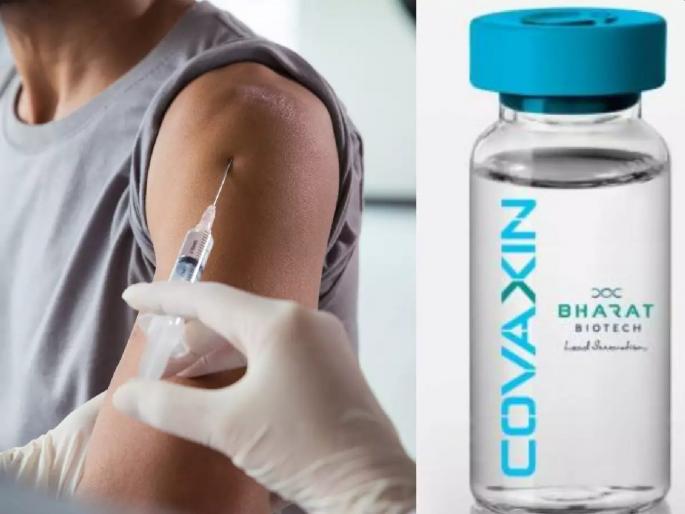 Corona Vaccine Single dose of Covaxin is also effective on Covid infected says ICMR | Corona Vaccine: कोरोना संक्रमितांना ‘Covaxin’ चा सिंगल डोसही लय भारी; ICMR चा दिलासादायक रिपोर्ट Corona Vaccine Single dose of Covaxin is also effective on Covid infected says ICMR | Corona Vaccine: कोरोना संक्रमितांना ‘Covaxin’ चा सिंगल डोसही लय भारी; ICMR चा दिलासादायक रिपोर्ट