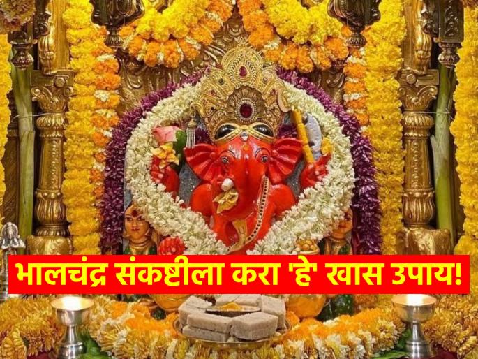 Sankashti Chaturthi 2024: Bhalchandra Sankashti in the month of Phalgun is special; Know the moonrise time and rituals! | Sankashti Chaturthi 2024: फाल्गुन मासातील भालचंद्र संकष्टी आहे खास; बाप्पाची करा उपासना पूर्ण होईल आस! Sankashti Chaturthi 2024: Bhalchandra Sankashti in the month of Phalgun is special; Know the moonrise time and rituals! | Sankashti Chaturthi 2024: फाल्गुन मासातील भालचंद्र संकष्टी आहे खास; बाप्पाची करा उपासना पूर्ण होईल आस!