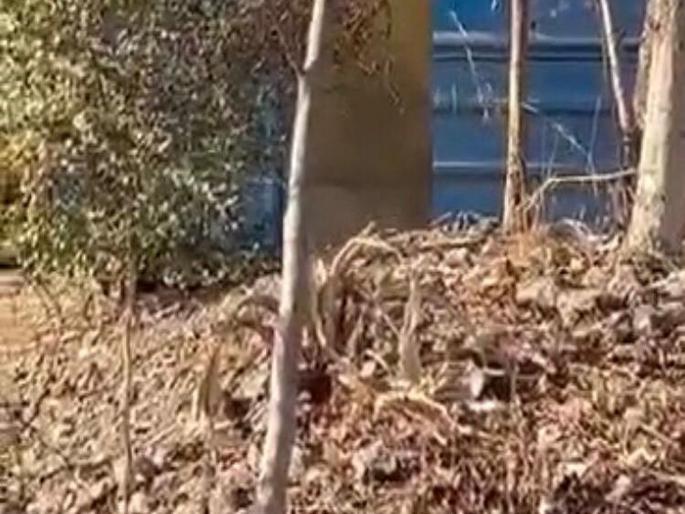 They will protest if action is taken to keep the agricultural implements in those huts | करावेतील त्या झोपड्या शेतीची अवजारे ठेवण्यासाठी कारवाई केल्यास आंदोलन करणार They will protest if action is taken to keep the agricultural implements in those huts | करावेतील त्या झोपड्या शेतीची अवजारे ठेवण्यासाठी कारवाई केल्यास आंदोलन करणार