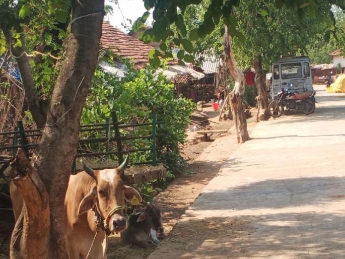 survived the flood; But stuck in the cycle of government loan | पुराच्या तडाख्यातून सुटले; पण शासकीय कर्जाच्या फेऱ्यात अडकले ! survived the flood; But stuck in the cycle of government loan | पुराच्या तडाख्यातून सुटले; पण शासकीय कर्जाच्या फेऱ्यात अडकले !