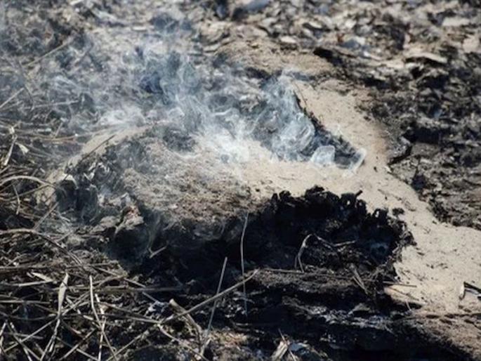 Two children, including their mother, were murdered and burned; incident in pune | धक्कादायक! आईसह दोन मुलांना खून करून जाळले; चुलत दिराच्या कृत्याने पुणे हादरले Two children, including their mother, were murdered and burned; incident in pune | धक्कादायक! आईसह दोन मुलांना खून करून जाळले; चुलत दिराच्या कृत्याने पुणे हादरले