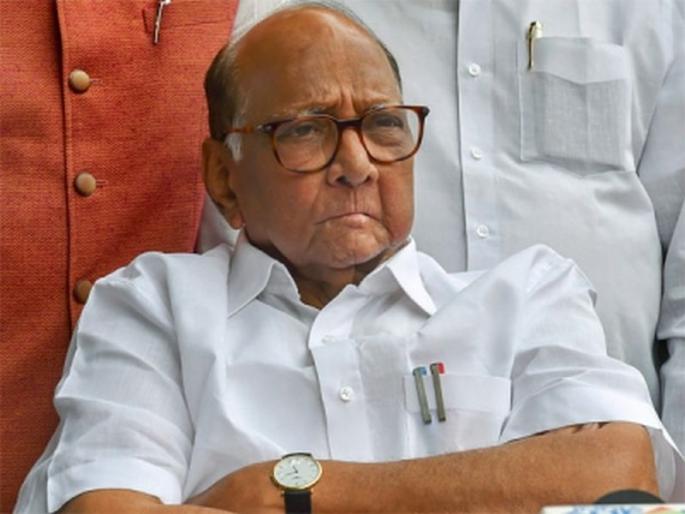 BJP leader Nilesh Rane has criticized NCP president Sharad Pawar | 'जे स्वत:च्या नातवाची लायकी काढतात ते मराठा समाजाला काय मान देणार'; राणेंचा पवारांना टोला BJP leader Nilesh Rane has criticized NCP president Sharad Pawar | 'जे स्वत:च्या नातवाची लायकी काढतात ते मराठा समाजाला काय मान देणार'; राणेंचा पवारांना टोला