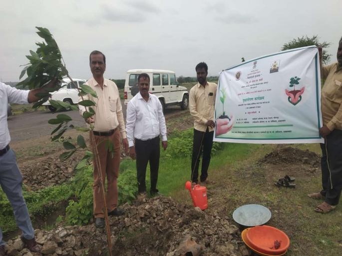 Resolution to plant twenty five thousand trees in Pune Division | पुणे विभागात पंचवीस हजार झाडे लावण्याचा संकल्प Resolution to plant twenty five thousand trees in Pune Division | पुणे विभागात पंचवीस हजार झाडे लावण्याचा संकल्प