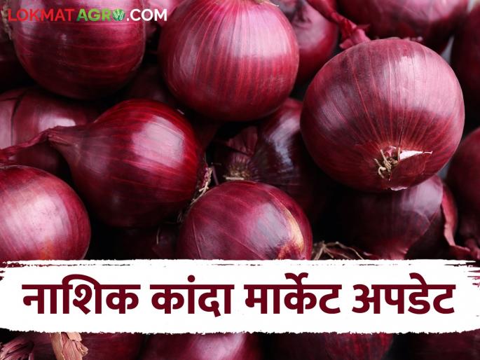 Latest News Kanda bajarbhav Onion market prices in Nagpur market are stable compared to Nashik, read details | Kanda Bajar Bhav : नाशिकपेक्षा नागपूर बाजारात कांदा बाजारभाव टिकून, वाचा काय मिळतोय दर? Latest News Kanda bajarbhav Onion market prices in Nagpur market are stable compared to Nashik, read details | Kanda Bajar Bhav : नाशिकपेक्षा नागपूर बाजारात कांदा बाजारभाव टिकून, वाचा काय मिळतोय दर?