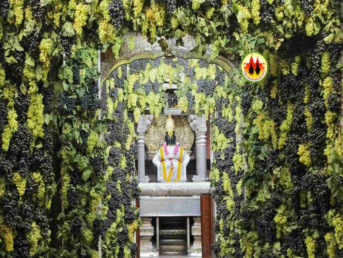 As many as 1 ton of grapes decorated Vitthala Mandir at Pandharpur | तब्बल १ टन द्राक्षांनी विठ्ठलाचा देव्हारा, गाभारा, चौखांबी, सोळाखांबी सजली As many as 1 ton of grapes decorated Vitthala Mandir at Pandharpur | तब्बल १ टन द्राक्षांनी विठ्ठलाचा देव्हारा, गाभारा, चौखांबी, सोळाखांबी सजली