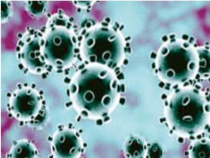 Corona virus changes rapidly! Beware of the background of mutations, appeals to medical experts | Coronavirus: कोरोना विषाणूत वेगाने बदल! म्युटेशनच्या पार्श्वभूमीवर काळजी घ्या, वैद्यकीय तज्ज्ञांचे आवाहन Corona virus changes rapidly! Beware of the background of mutations, appeals to medical experts | Coronavirus: कोरोना विषाणूत वेगाने बदल! म्युटेशनच्या पार्श्वभूमीवर काळजी घ्या, वैद्यकीय तज्ज्ञांचे आवाहन