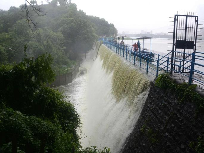 Lakes supplying water to Mumbai 50 per cent full; Satisfactory rainfall in the lake area | मुंबईला पाणीपुरवठा करणारे तलाव ५० टक्के भरले; तलाव क्षेत्रात समाधानकारक पाऊस Lakes supplying water to Mumbai 50 per cent full; Satisfactory rainfall in the lake area | मुंबईला पाणीपुरवठा करणारे तलाव ५० टक्के भरले; तलाव क्षेत्रात समाधानकारक पाऊस