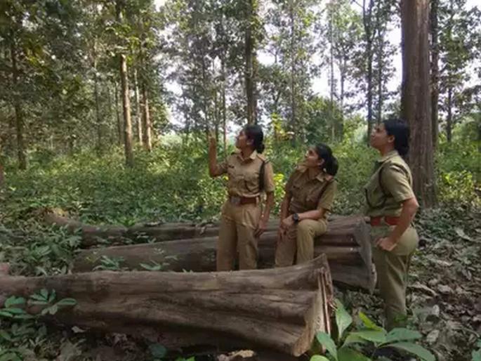 Acceptance of shortlist of 77 Assistant Conservator of Forests for promotion, but no posting yet | पदोन्नतीसाठी ७७ सहायक वनसंरक्षकांची निवडसूची मान्य, पण पोस्टिंग अद्याप नाही Acceptance of shortlist of 77 Assistant Conservator of Forests for promotion, but no posting yet | पदोन्नतीसाठी ७७ सहायक वनसंरक्षकांची निवडसूची मान्य, पण पोस्टिंग अद्याप नाही