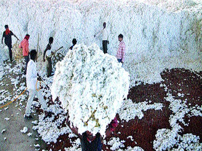 Tired of missing 5 million rupees of 'marketing'! | ‘पणन’चे २०० कोटी रुपयांचे चुकारे थकले!  Tired of missing 5 million rupees of 'marketing'! | ‘पणन’चे २०० कोटी रुपयांचे चुकारे थकले!