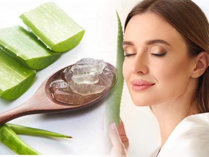 Aloe vera is a cool way to keep your skin beautiful in summer | उन्हानं शिणलेल्या त्वचेला कोरफडीचा गारवा! उन्हाळ्यात त्वचा जपण्याचा, सुंदर ठेवण्याचा 'कूल' उपाय 