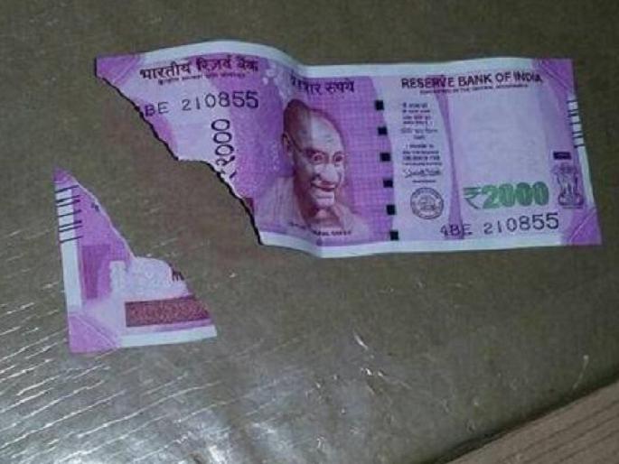 Know About RBI Rules for damaged notes exchange | आता ‘फ्री’मध्ये बदला फाटलेल्या नोटा, पूर्ण पैसे परत मिळतील; फक्त ‘हे’ काम करा