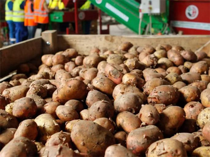 Uttar Pradesh Election 2022: Potato liquor is coloring .. Goons are getting intoxicated! | Uttar Pradesh Election 2022: बटाट्याची दारू रंगतेय..गुंडांची नशा उतरतेय! Uttar Pradesh Election 2022: Potato liquor is coloring .. Goons are getting intoxicated! | Uttar Pradesh Election 2022: बटाट्याची दारू रंगतेय..गुंडांची नशा उतरतेय!