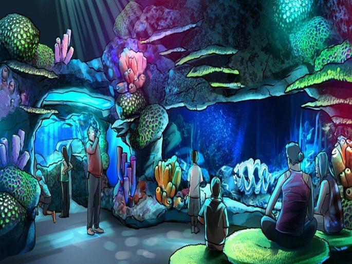 International standard aquarium in Mumbai; 'Pop up window' for kids | मुंबईत आंतरराष्ट्रीय दर्जाचे मत्स्यालय; मुलांसाठी 'पॉप अप विंडो' International standard aquarium in Mumbai; 'Pop up window' for kids | मुंबईत आंतरराष्ट्रीय दर्जाचे मत्स्यालय; मुलांसाठी 'पॉप अप विंडो'