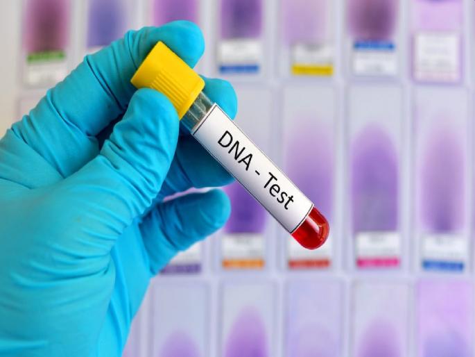 Couple Devastated After 'Fun' DNA Test Reveals Shocking Result | सहज गंमतीनं बापानं १२ वर्षीय पोराची DNA चाचणी केली; रिझल्ट पाहून चेहऱ्यावर घाम फुटला, मग... Couple Devastated After 'Fun' DNA Test Reveals Shocking Result | सहज गंमतीनं बापानं १२ वर्षीय पोराची DNA चाचणी केली; रिझल्ट पाहून चेहऱ्यावर घाम फुटला, मग...