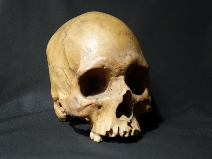 To Run salon in profit; blackmagic on skull; accused arrested | ऐकाव ते नवलंच, सलून उत्तम चालावं म्हणून मानवी कवट्यांवर तंत्रमंत्र To Run salon in profit; blackmagic on skull; accused arrested | ऐकाव ते नवलंच, सलून उत्तम चालावं म्हणून मानवी कवट्यांवर तंत्रमंत्र