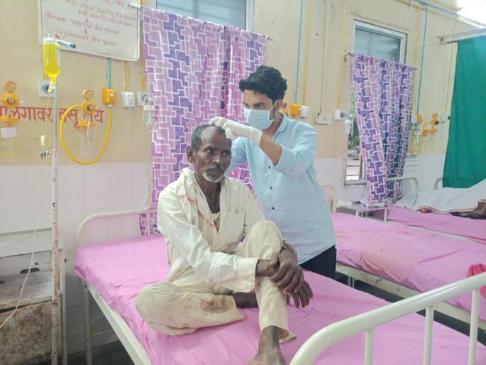 One injured in bear attack in Dongarshevli; Treatment started at District General Hospital | डोंगरशेवली येथे अस्वलाच्या हल्ल्यात एक जखमी; जिल्हा सामान्य रुग्णालयात उपचार सुरू One injured in bear attack in Dongarshevli; Treatment started at District General Hospital | डोंगरशेवली येथे अस्वलाच्या हल्ल्यात एक जखमी; जिल्हा सामान्य रुग्णालयात उपचार सुरू