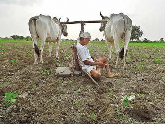 When will the 574 borrowers who died due to corona in the district get debt relief? | जिल्हाभरात कोरोनाने दगावलेल्या ५७४ कर्जदारांना कर्जमुक्ती कधी? When will the 574 borrowers who died due to corona in the district get debt relief? | जिल्हाभरात कोरोनाने दगावलेल्या ५७४ कर्जदारांना कर्जमुक्ती कधी?