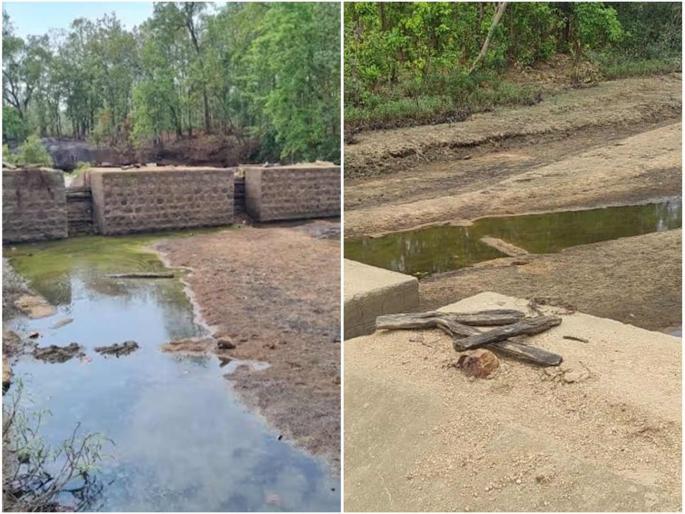 In Jashpur district of Chhattisgarh, dam water was wasted for fishing | आणखी एक प्रताप! महाभागांनी धरणातील लाखो लीटर पाणी वाया घालवले; कारण ऐकून संताप येईल In Jashpur district of Chhattisgarh, dam water was wasted for fishing | आणखी एक प्रताप! महाभागांनी धरणातील लाखो लीटर पाणी वाया घालवले; कारण ऐकून संताप येईल