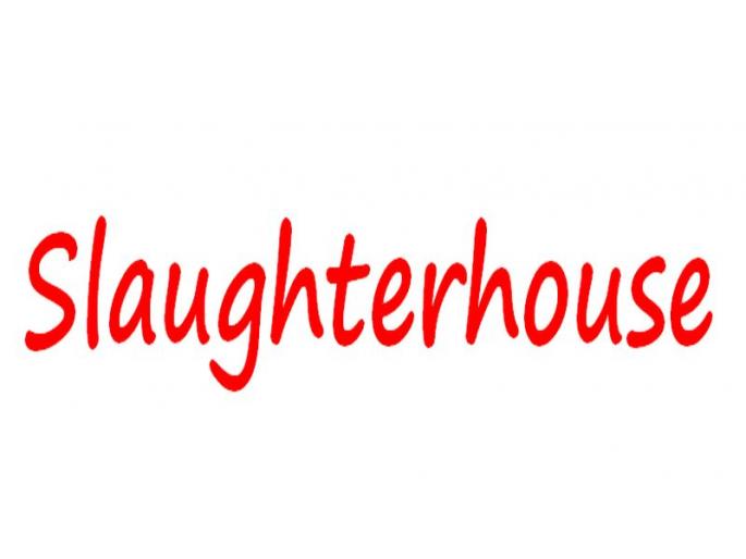 The fugitive continues to be illegal slaughterhouses, the risk of health of the school girl students | भिवंडीत अवैधरित्या कत्तलखाने सुरू, शाळकरी विद्यार्थ्यांच्या आरोग्यास धोका The fugitive continues to be illegal slaughterhouses, the risk of health of the school girl students | भिवंडीत अवैधरित्या कत्तलखाने सुरू, शाळकरी विद्यार्थ्यांच्या आरोग्यास धोका