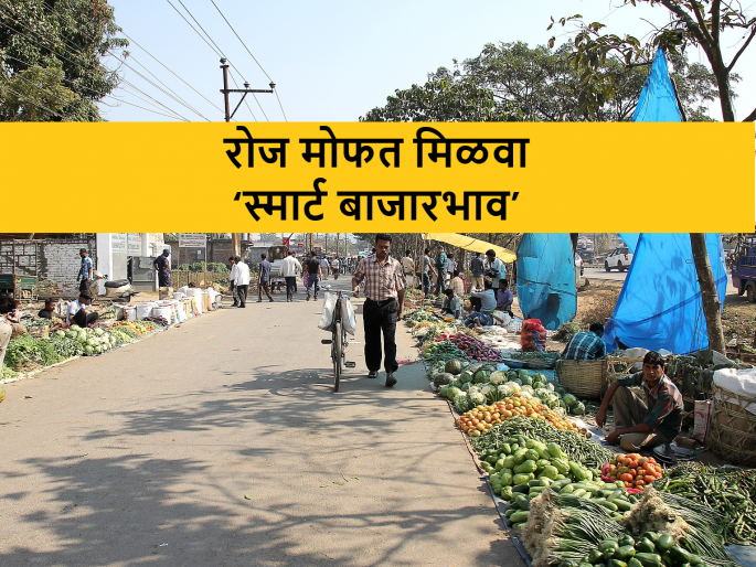 today's market rate and ajache bajarbhav with lokmat agro | गवार आज पंधराशे रुपयांनी वाढली; कसा पाहायचा ‘स्मार्ट बाजारभाव’ today's market rate and ajache bajarbhav with lokmat agro | गवार आज पंधराशे रुपयांनी वाढली; कसा पाहायचा ‘स्मार्ट बाजारभाव’