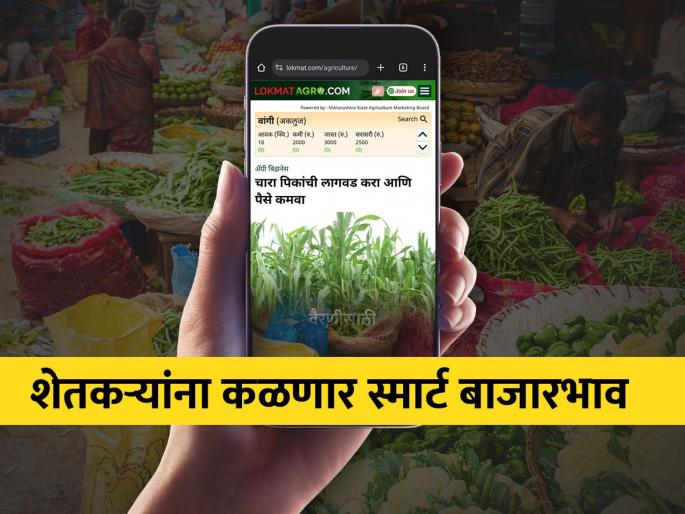 Smart market prices of agricultural products on 'Lokmat Agro' | आता ‘लोकमत ॲग्रोवर’ शेतकऱ्यांना मिळतात स्मार्ट बाजारभाव Smart market prices of agricultural products on 'Lokmat Agro' | आता ‘लोकमत ॲग्रोवर’ शेतकऱ्यांना मिळतात स्मार्ट बाजारभाव