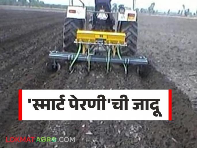 latest news Smart Sowing: Impact of 'Smart Sowing': Vigorous cultivation of soybean, turmeric, cotton | Smart Sowing : 'स्मार्ट पेरणी'चा प्रभाव : सोयाबीन, हळद, कपाशीची जोमदार लागवड