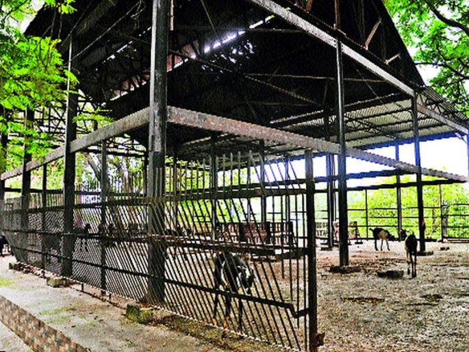 Cemetery Disease on Link Road | लिंक रोडवरील स्मशानभूमीची दुरवस्था