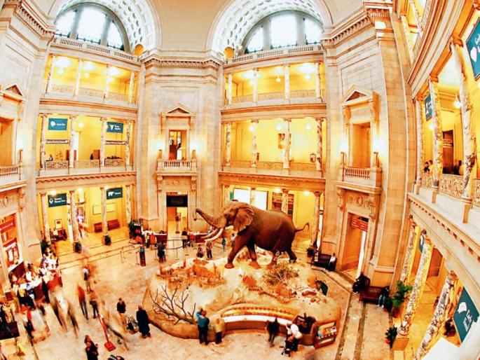 Awkward! Visit the museum home in America at home online | चकटफू ! अमेरिकेतलं संग्रहालय घरच्या घरी ऑनलाइन पहा