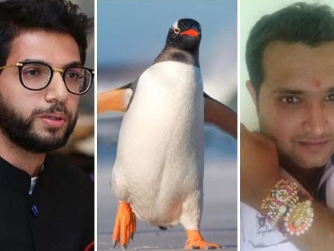 Samit Thakkar, who wrote a post against the Chief Minister, was granted bail by the High Court | मुख्यमंत्र्यांविरुद्ध पोस्ट लिहणाऱ्या समीत ठक्करला हायकोर्टाकडून जामीन मंजूर Samit Thakkar, who wrote a post against the Chief Minister, was granted bail by the High Court | मुख्यमंत्र्यांविरुद्ध पोस्ट लिहणाऱ्या समीत ठक्करला हायकोर्टाकडून जामीन मंजूर