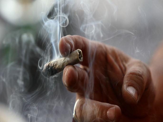 A German company has offer a position for a "cannabis sommelier a salary up to £88,000 | गांजा फुका अन् घ्या ८८ लाख पगार; 'या' कंपनीची अजब JOB ऑफर, नोकरीसाठी रांग लागली A German company has offer a position for a "cannabis sommelier a salary up to £88,000 | गांजा फुका अन् घ्या ८८ लाख पगार; 'या' कंपनीची अजब JOB ऑफर, नोकरीसाठी रांग लागली