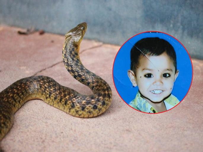 Time was hidden in the corner! A little boy who put his hands in the corner for Kajava died of snakebite | देवळीत काळ दडला होता! काजव्यांसाठी देवळीत हात घातलेल्या चिमूकल्याचा सर्पदंशाने मृत्यू Time was hidden in the corner! A little boy who put his hands in the corner for Kajava died of snakebite | देवळीत काळ दडला होता! काजव्यांसाठी देवळीत हात घातलेल्या चिमूकल्याचा सर्पदंशाने मृत्यू