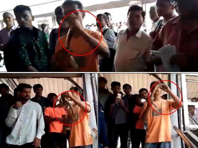 snake found on ambernath railway station | रेल्वे पादचारी पुलावर साप, प्रवाशांचा थरकाप snake found on ambernath railway station | रेल्वे पादचारी पुलावर साप, प्रवाशांचा थरकाप