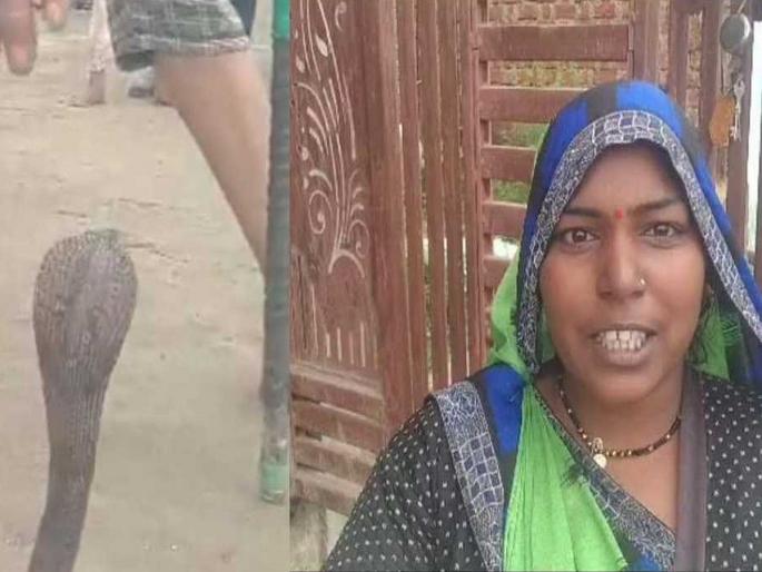 The little girl was sleeping in the cradle, then the black snake came out with a poisonous hiss, then... | पाळण्यात झोपली होती चिमुकली, तेवढ्यात विषारी फुत्कार सोडत आला काळा नाग, त्यानंतर... The little girl was sleeping in the cradle, then the black snake came out with a poisonous hiss, then... | पाळण्यात झोपली होती चिमुकली, तेवढ्यात विषारी फुत्कार सोडत आला काळा नाग, त्यानंतर...